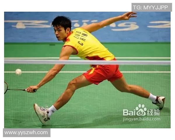 深入分析上海羽毛球队区域防守战术的特点与应用