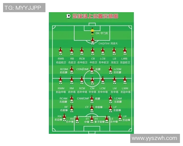 西安排球队进攻战术解析与排球热点探讨